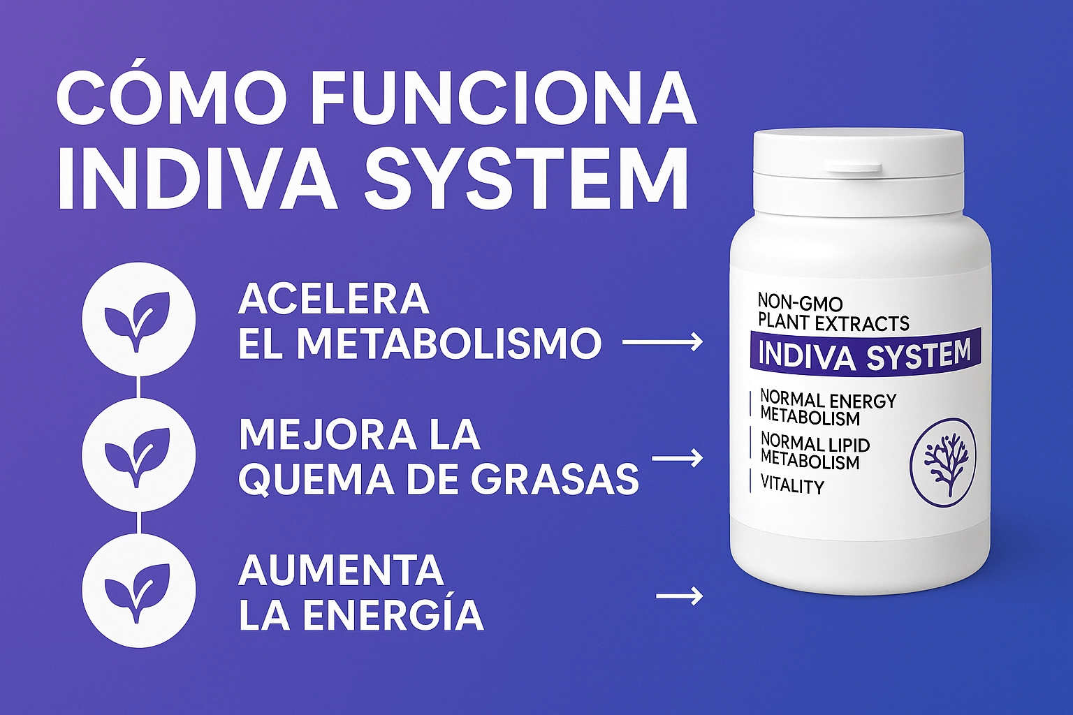 Cómo funciona Indiva System y sus efectos en el metabolismo