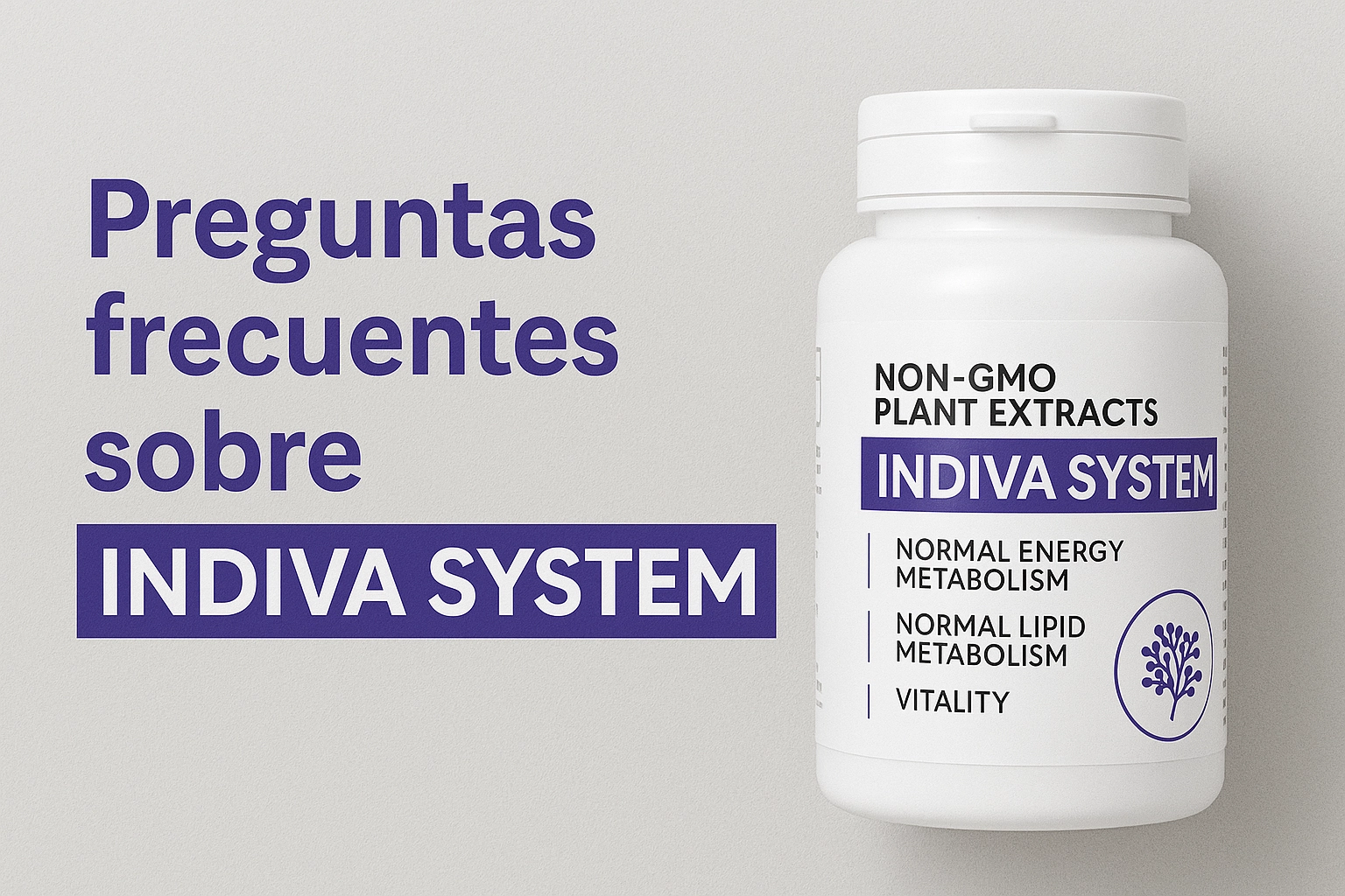 Preguntas frecuentes sobre Indiva System