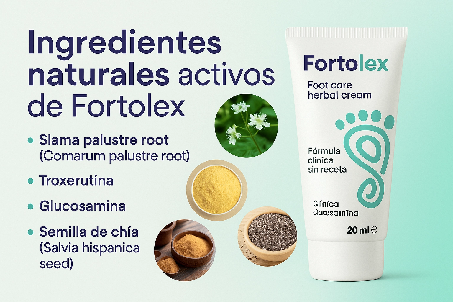 Ingredientes naturales activos de Fortolex