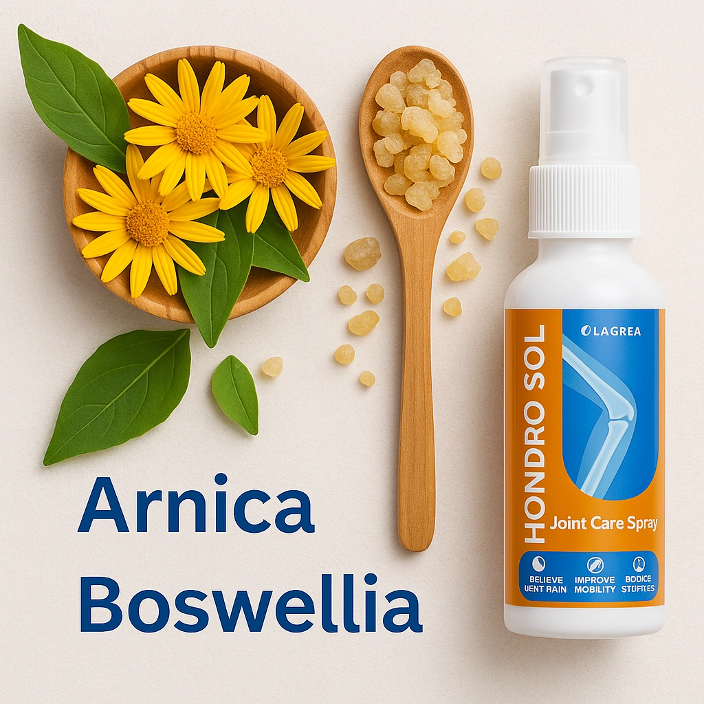 Ingredientes naturales de Hondro Sol como Arnica y Boswellia