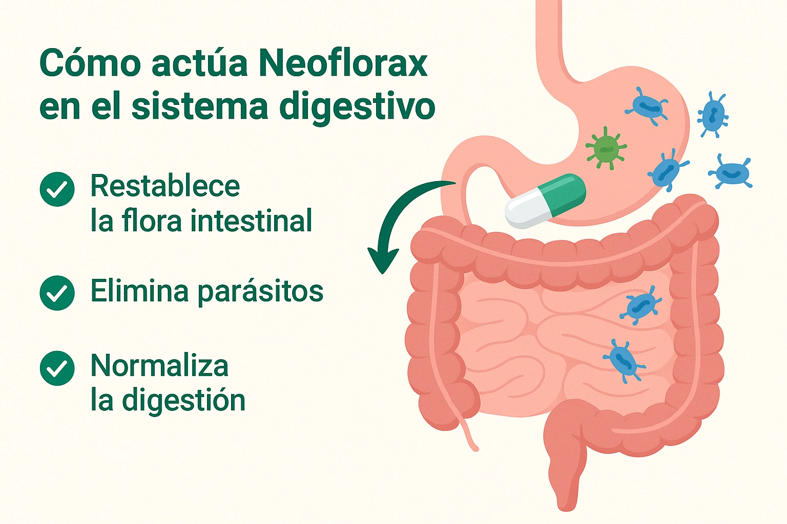 Beneficios de Neoflorax – salud intestinal y antiparasitos