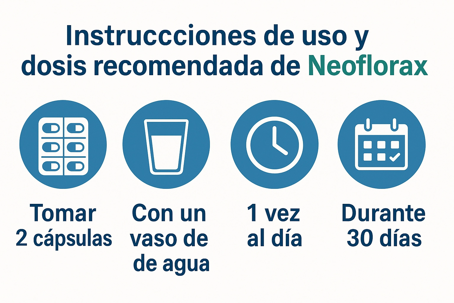 Cómo actúa Neoflorax en el sistema digestivo