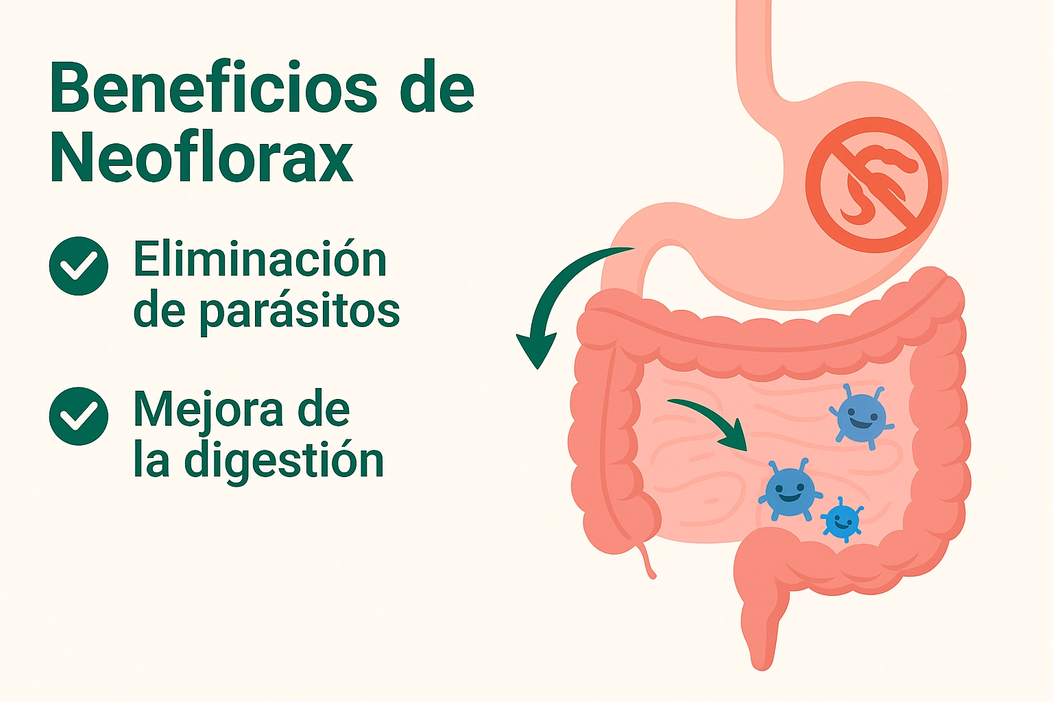 Beneficios de Neoflorax – eliminación de parásitos y mejora de la digestión